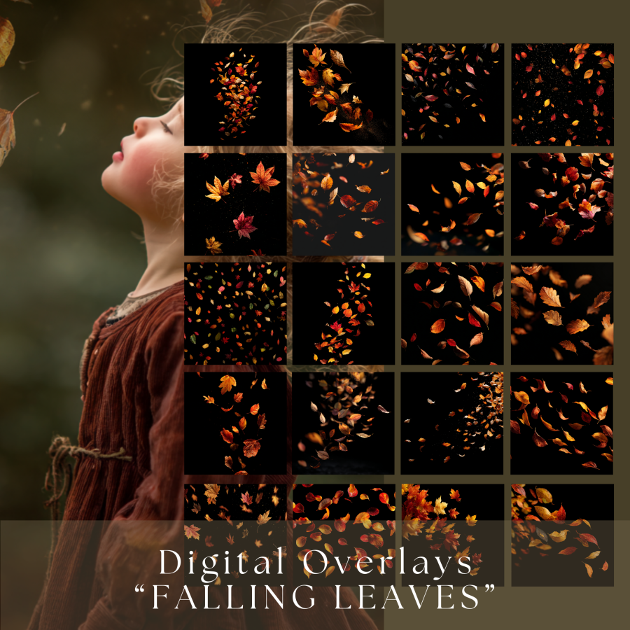 Kopia – Kopia – Kopia – Kopia – Kopia – Kopia – Kopia – Kopia – Kopia – Product Images – kopia