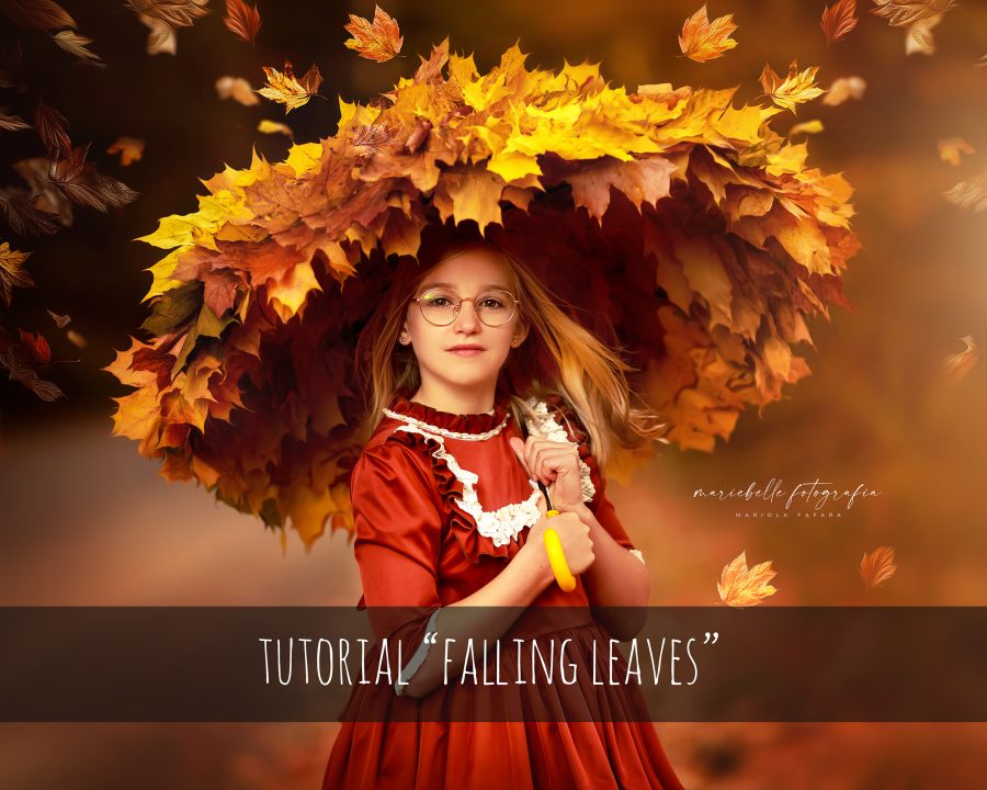 Tutorial "Falling Leaves"